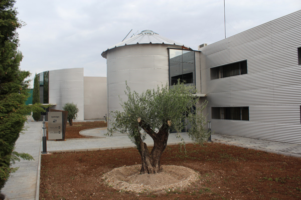 Oficinas Villarta de San Juan